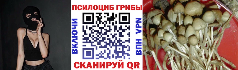 Псилоцибиновые грибы MAGIC MUSHROOMS  Красновишерск 